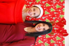 Christmas (12)