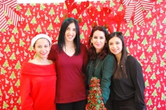 Christmas (13)