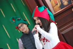 Christmas (244)