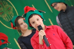 Christmas (247)