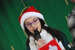 Christmas (267)