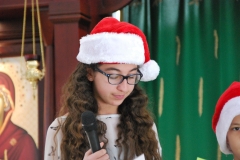 Christmas (271)
