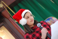 Christmas (274)