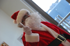 Christmas (300)