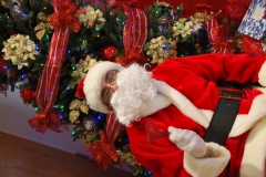 Christmas (304)