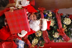 Christmas (310)