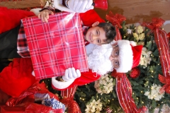 Christmas (311)