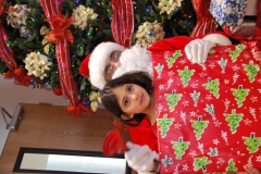 Christmas (312)
