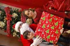 Christmas (315)