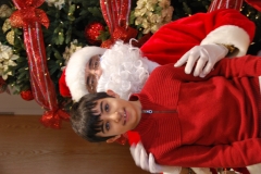 Christmas (317)