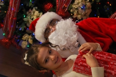 Christmas (323)