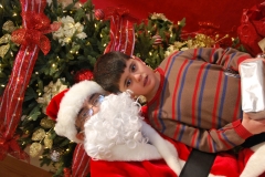 Christmas (341)