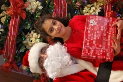 Christmas (343)