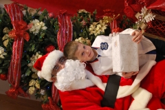 Christmas (345)