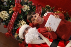 Christmas (353)