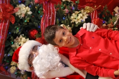 Christmas (359)