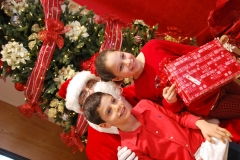 Christmas (361)