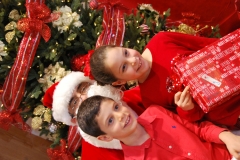 Christmas (362)