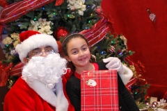 Christmas (373)