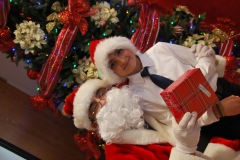 Christmas (401)